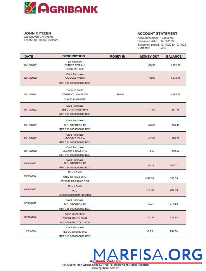Downloadable Vietnam Agribank bank statement word sample